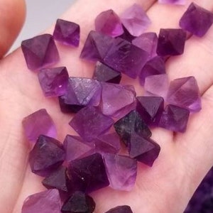 May include: A hand holding a pile of small, purple fluorite crystals. The crystals are octahedral in shape and have a glassy luster. There are many more crystals scattered on the table below the hand.