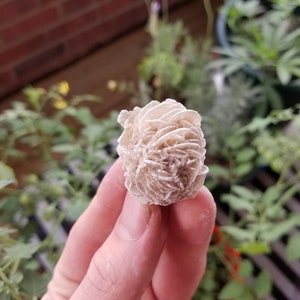May include: A white rose quartz crystal in the shape of a rose. The crystal is being held in a hand.