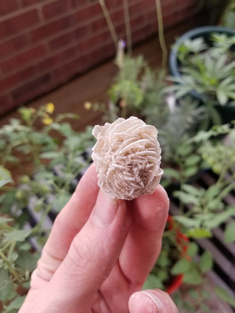 May include: A white rose quartz crystal in the shape of a rose. The crystal is being held in a hand.