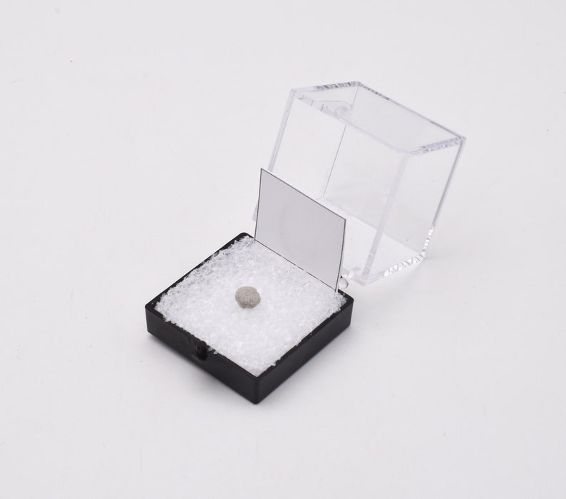 May include: A small, gray rock is displayed in a black velvet-lined box with a clear plastic lid. The box is open and the lid is resting on the side.