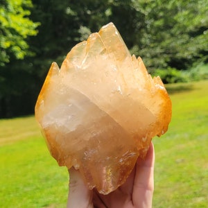 Elmwood Calcite w/ Sphalerite ~6.5&quot; from Elmwood Mine Tennessee USA // Double Terminated, Stellar Beam Yellow Calcite Rare Mineral Specimen