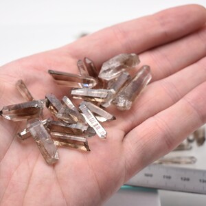 Peut inclure: Plusieurs pointes de cristal de quartz fum&eacute; brutes. Les cristaux, de couleur brun clair et translucide, sont de tailles et de formes vari&eacute;es. Ils sont tenus dans une main ouverte sur fond blanc, avec une r&egrave;gle visible en bas &agrave; droite.