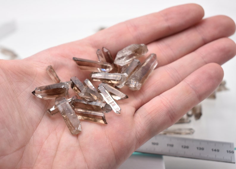 Peut inclure: Plusieurs pointes de cristal de quartz fum&eacute; brutes. Les cristaux, de couleur brun clair et translucide, sont de tailles et de formes vari&eacute;es. Ils sont tenus dans une main ouverte sur fond blanc, avec une r&egrave;gle visible en bas &agrave; droite.