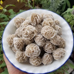 May include: A white ceramic bowl with a blue rim filled with a collection of tan-colored rose quartz crystals.