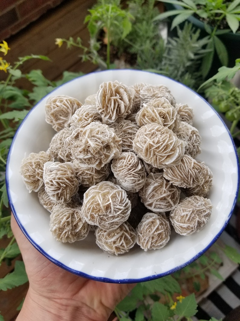 May include: A white ceramic bowl with a blue rim filled with a collection of tan-colored rose quartz crystals.