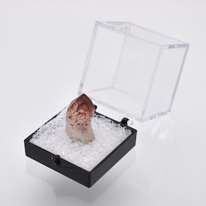 May include: A small, clear quartz crystal with red and brown inclusions is displayed in a black and clear plastic display box.