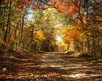 Rustic Woodland Wall Decor, Country Road, Dirt Road with Autumn Foliage