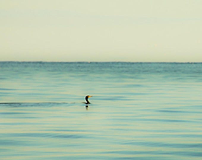 Print | 'Runde Tranquility' | Photographic Print