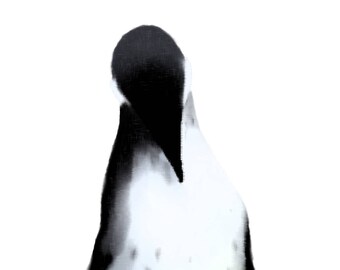 Wildlife Print | 'Penguin' | Digitally Illustrated Print