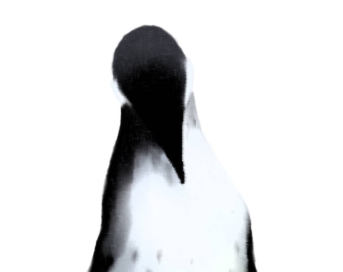 Wildlife Print | 'Penguin' | Digitally Illustrated Print