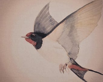 First Swallow card | Any Occasion Blank Card | Mary Carroll Artworks  | Scottish Artist and Illustrator