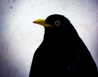 Moonlit Blackbird | Any Occasion Card by Mary Carroll