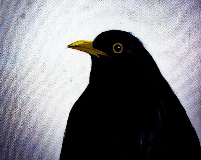Moonlit Blackbird | Any Occasion Card by Mary Carroll