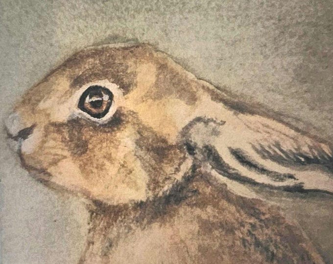 Hare Card | Any Occasion Blank Card | Mary Carroll Artworks  | Scottish Artist and Illustrator