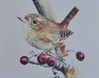 Little Wren Card | Any Occasion Blank Card | Mary Carroll Artworks  | Scottish Artist and Illustrator