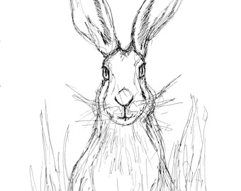 Print | 'Scruffy Hare' | Print of Original Pen Drawing