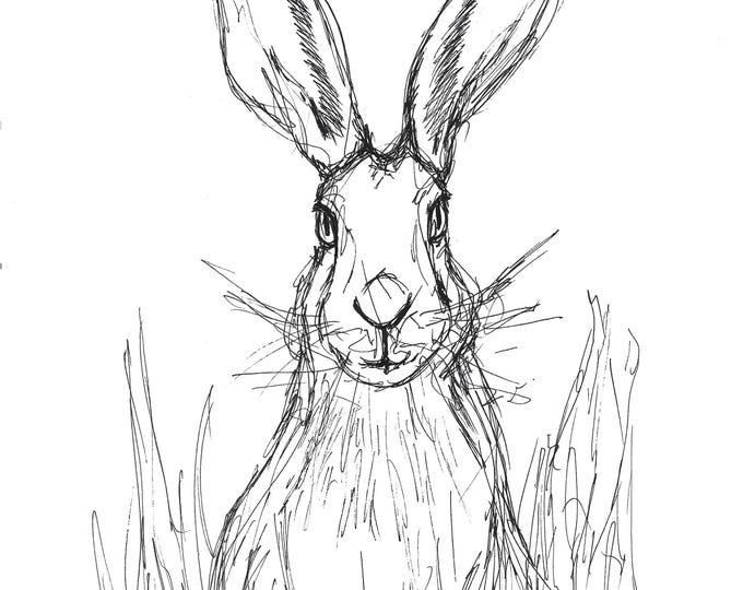 Print | 'Scruffy Hare' | Print of Original Pen Drawing