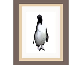 Wildlife Print | 'Penguin' | Digitally Illustrated Print | Mounted Print