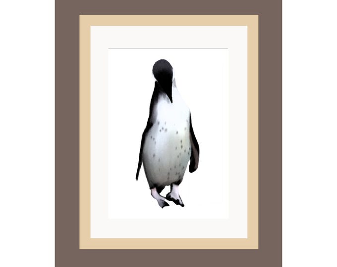 Wildlife Print | 'Penguin' | Digitally Illustrated Print | Mounted Print