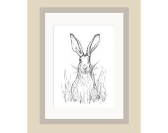 Print | 'Scruffy Hare' | Print of Original Pen Drawing | Mounted Print