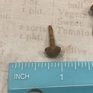 May include: Close-up of a small, rusty nail with a rounded head. The nail is approximately 1 inch long, as indicated by the blue ruler in the image. The nail is set against a textured, off-white background.