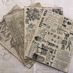 Ensemble de 3 collages de fougères et de roses, en collaboration avec VintageStudio717, 8 feuilles de papier imprimées et teintes café, collage, modèle 2 sur 4