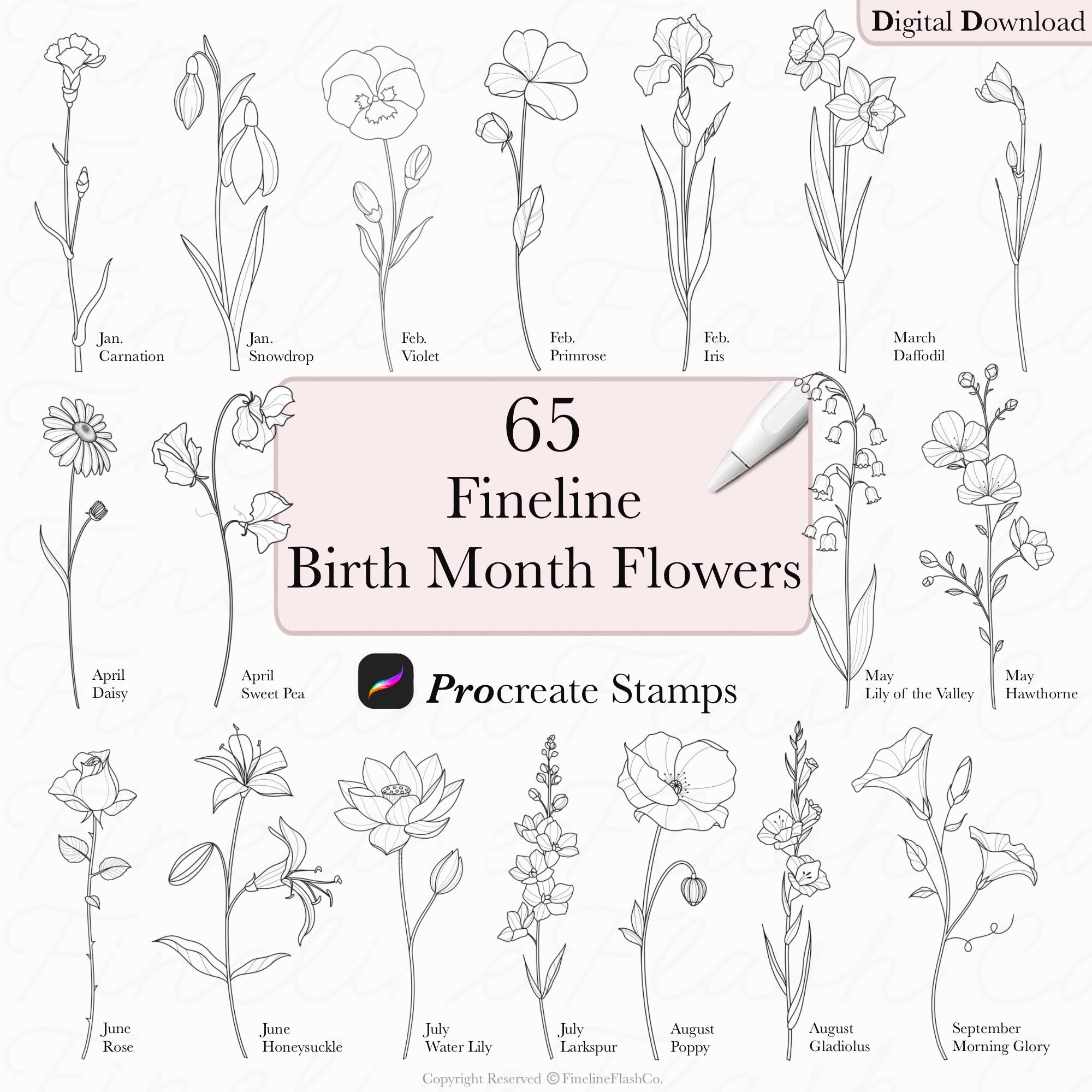 Birthflower Designs | Fineline Procreate | Procreate Birth Flower | Fine Line Procreate | BirthMonth Flower Designs | Birthflower Tattoo