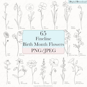 Fleurs pour mois d'anniversaire | Fleurs Fineline | Fleurs de naissance PNG | Ligne fine PNG | Designs de tatouage fleur de naissance | Modèles de mois de naissance PNG