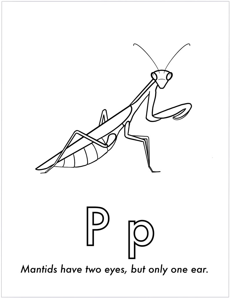 Insect Alphabet Coloring Book Digital | Etsy