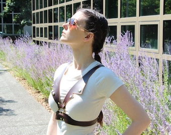 Brown leather Greaser harness