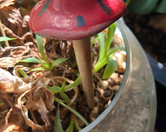 Ceramic mushroom planter spikes. Mushie. Red mushrooms. Garden. Plants. Plant mom. 4 mushrooms. Terrarium. Succulents