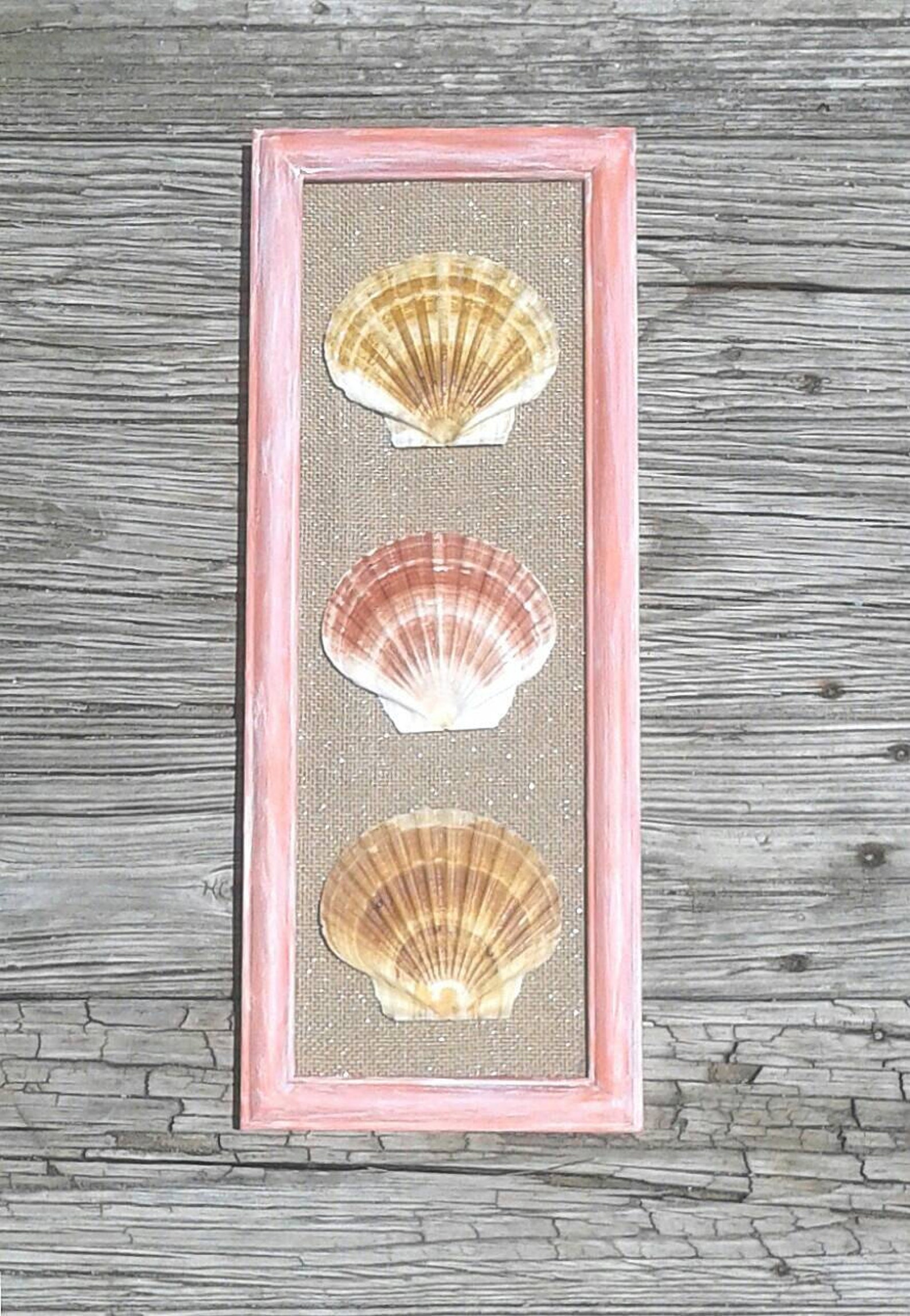 Seashell wall decor seashell wall art hand painted Etsy