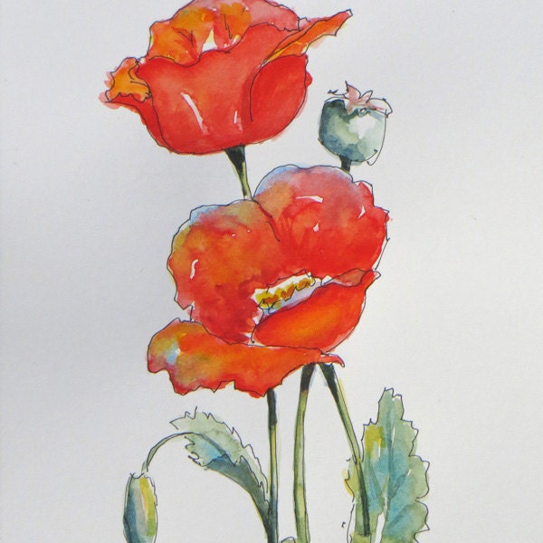 Mohn-Skizze