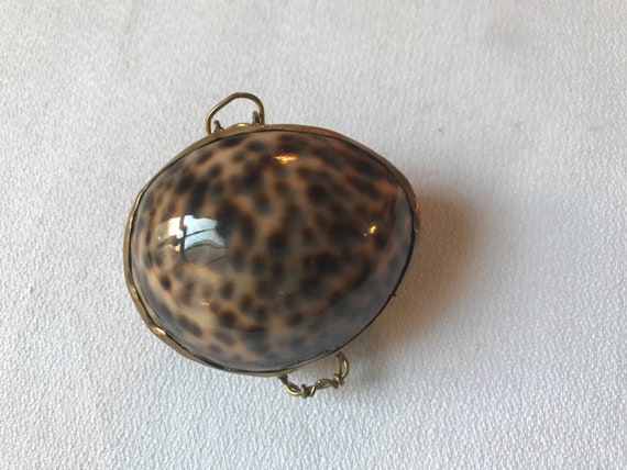 Tropical Trinket or stash box Made of Real Natural Shell & Brass, Can be worn as a Pendant Necklace or used as a coin purse too
