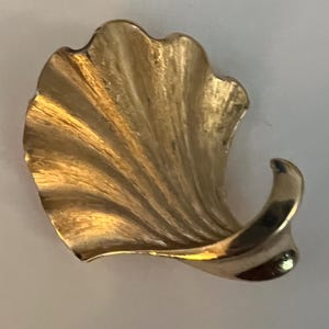 May include: A gold-toned, stylized seashell-shaped brooch. The brooch has a textured surface with a swirling, wave-like design. The overall shape is asymmetrical, with a curved, pointed end.