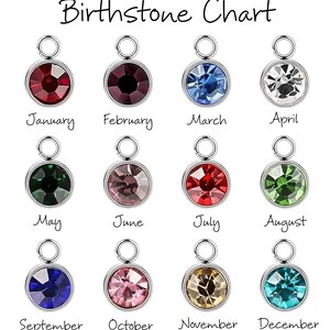 K&ouml;nnte beinhalten: Eine Geburtssteintabelle mit zw&ouml;lf runden Anh&auml;ngern, jeder mit einem andersfarbigen Edelstein. Die Monate des Jahres sind unter jedem Anh&auml;nger beschriftet. Der Text "Birthstone Chart" befindet sich oben im Bild.