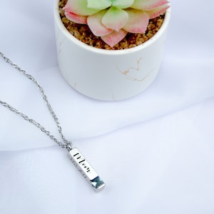 Personalized Urn Necklace - Birthstone Ashes Memorial Necklace - Engraving Custom Bar Necklace - Cremation Jewelry for Human or Pets Ashes image 8