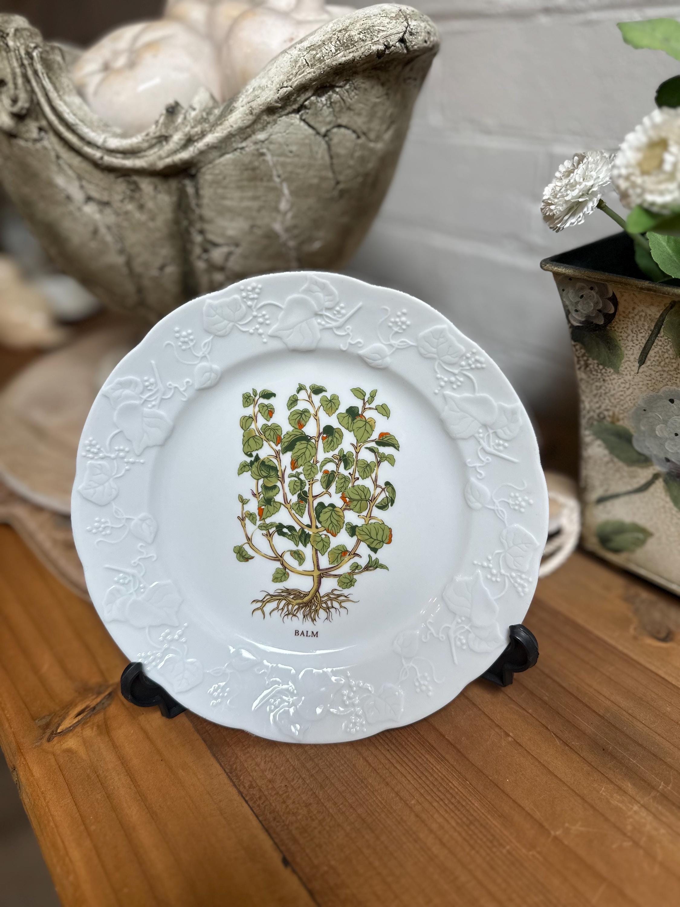 France Lierre Sauvage French Plates - Etsy