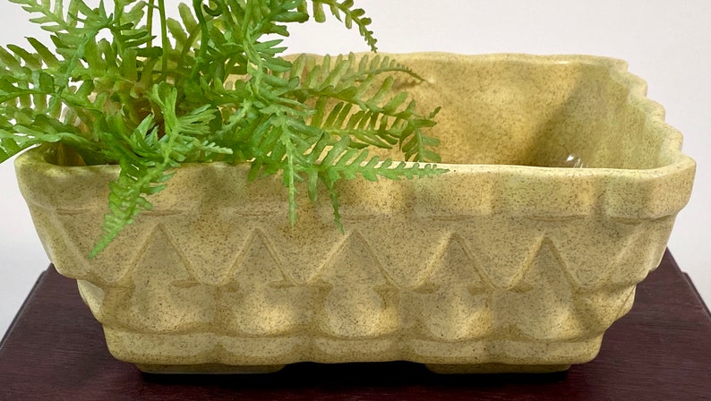 May include: A light green ceramic planter with a geometric design. The planter has a textured surface and is shaped like a rectangle with rounded corners.