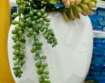 May include: A white ceramic vase with a rounded shape, filled with a variety of green succulents. The vase is sitting on a green and gold patterned surface.