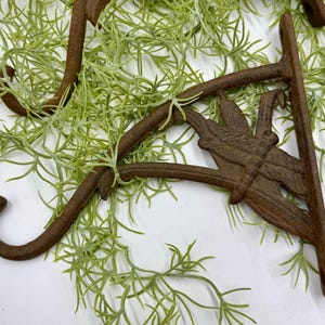 May include: Brown cast iron plant hangers with a decorative leaf design. The hangers have a curved hook for hanging and a flat back for mounting. The background features green foliage.