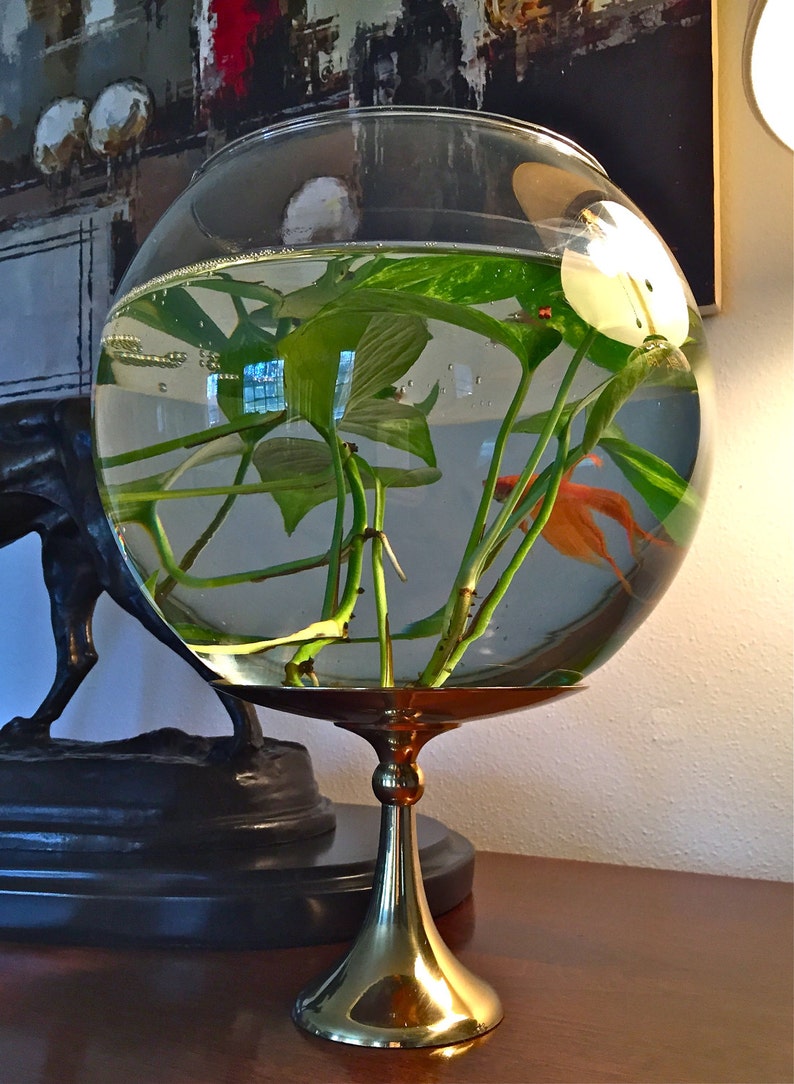 large fish bowl large fish bowl