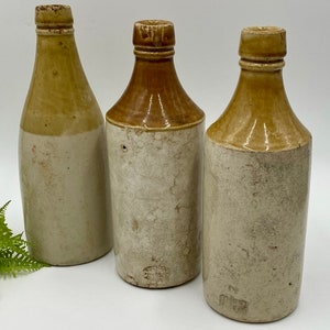 May include: Three vintage stoneware bottles with brown tops and white bodies. The bottles are slightly different shapes and sizes.