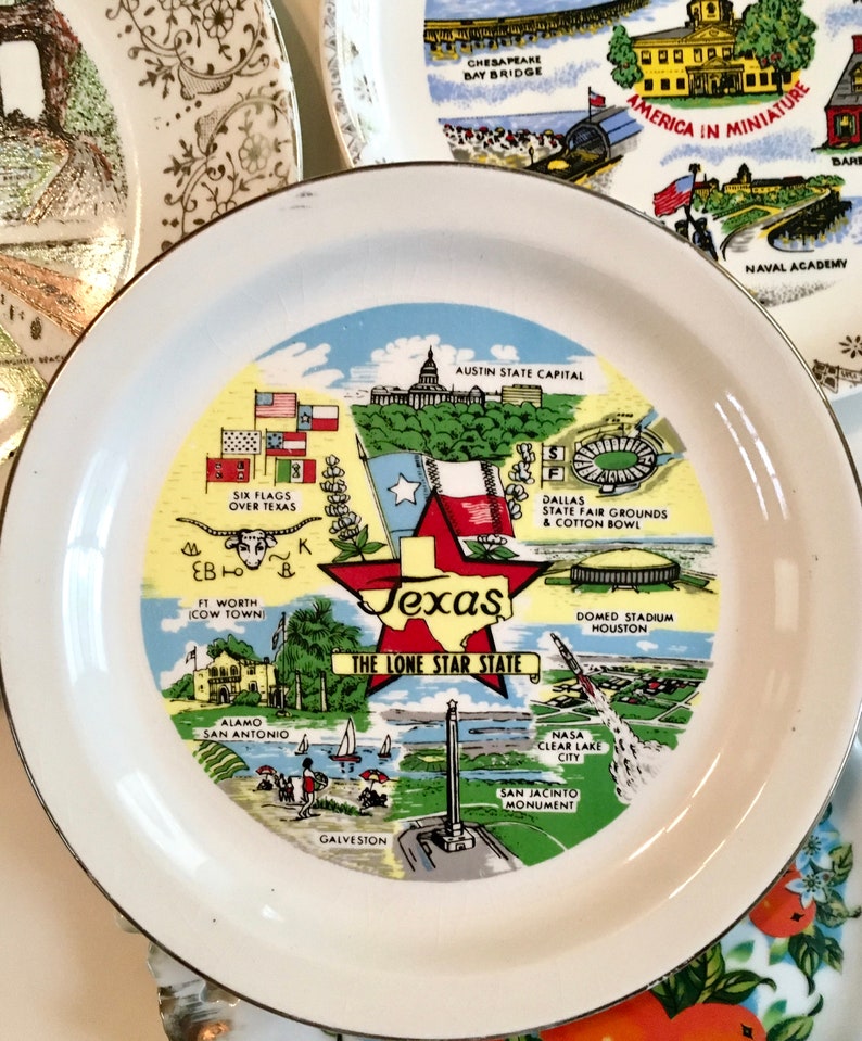 Carolina S Texas Virginia **YOU CHOOSE** Florida Retro Wall Decor Vacation Collectible Souvenir Plate New Mexico Maryland