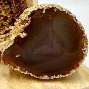 May include: A polished agate geode slice with a dark brown center and a light brown, textured outer edge. The geode is displayed in a wooden box with brown paper filler. The agate is a natural stone.