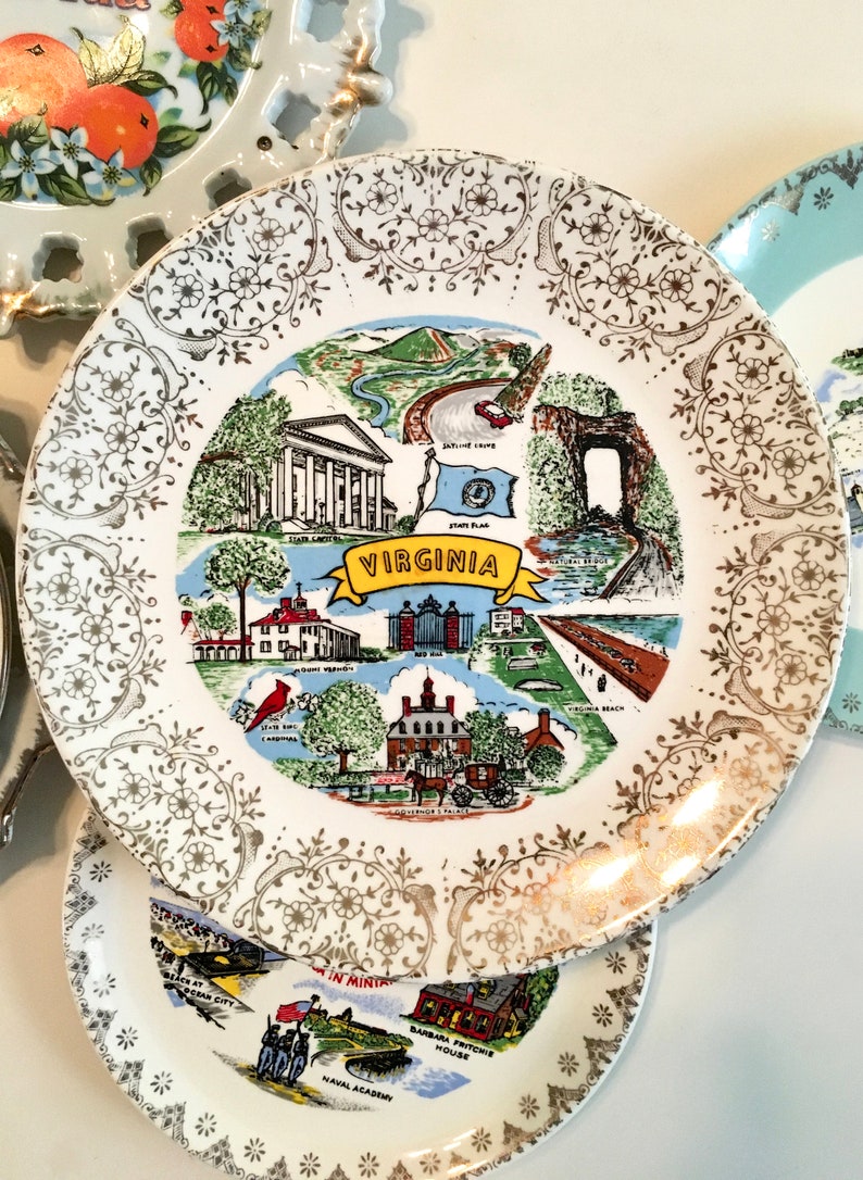 Carolina S Texas Virginia **YOU CHOOSE** Florida Retro Wall Decor Vacation Collectible Souvenir Plate New Mexico Maryland