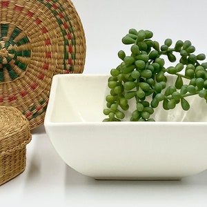 May include: A white square ceramic bowl with a green succulent plant inside. The bowl is sitting on a white surface.