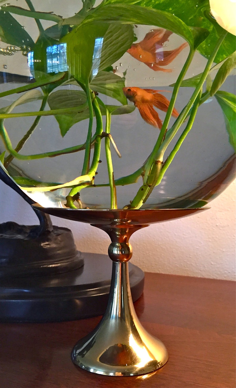 ExtraLarge Clear Glass Bubble Bowl Fishbowl Goldfish Betta Etsy