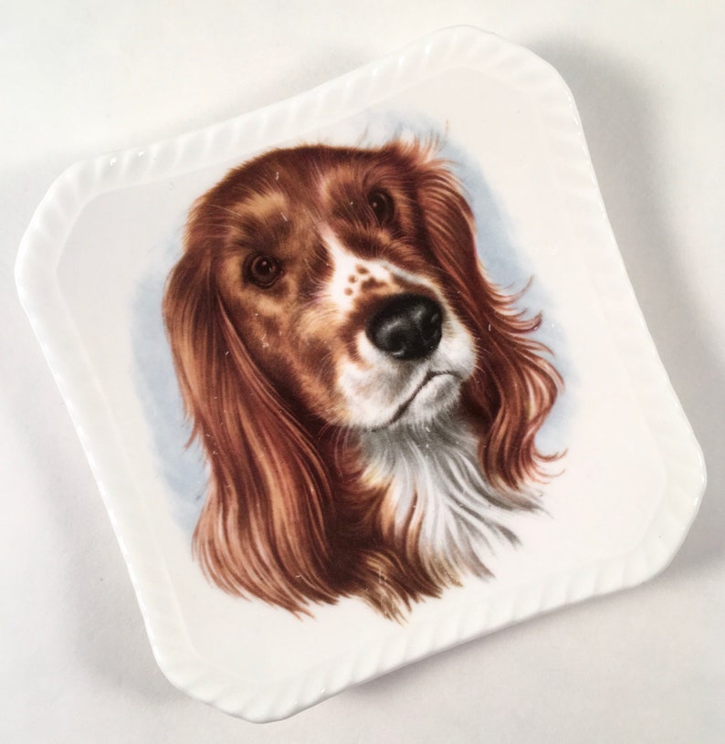 Tiny Royal Adderley Bone China Spaniel Dog Dish Dog Plate Etsy