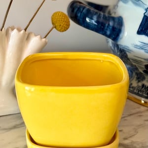 May include: A bright yellow ceramic planter with a matching saucer. The square-shaped pot has rounded corners and a glossy finish. Dried yellow flowers in a white vase and a blue and white ceramic pitcher are in the background.